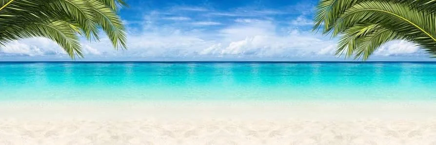 ng体育 - APP如热带全景般精彩