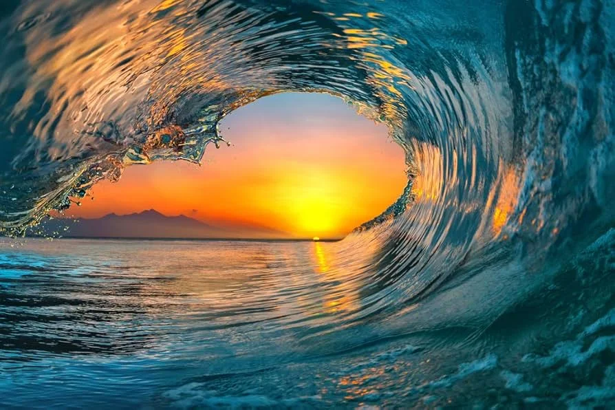 ng体育 - 火狐体育电竞竞猜